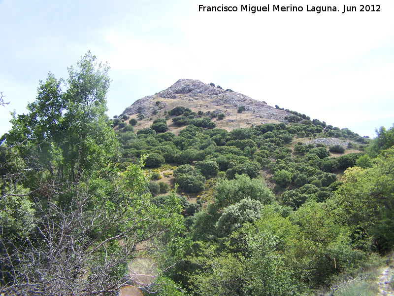 Monte de las nimas - Monte de las nimas. 