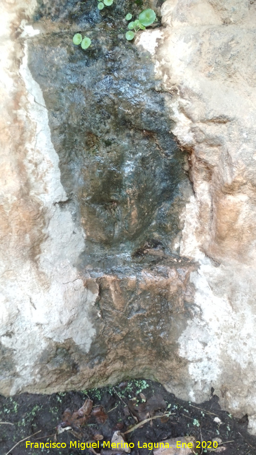 Petroglifos rupestres de El Toril - Petroglifos rupestres de El Toril. Venus mojada por su rezume