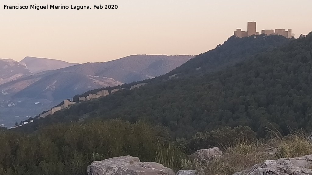 Castillo de Santa Catalina - Castillo de Santa Catalina. 