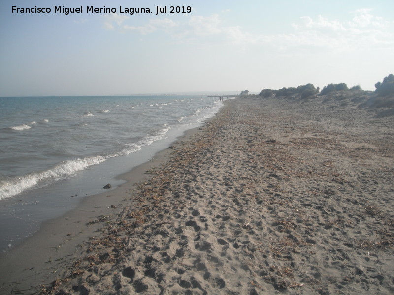 Playa de la Gola - Playa de la Gola. 