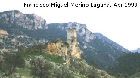 Castillo de Otiar - Castillo de Otiar. 