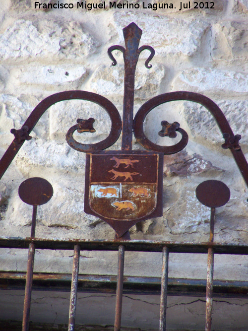 Casa del Ladr�n de Guevara - Casa del Ladr�n de Guevara. Escudo de reja