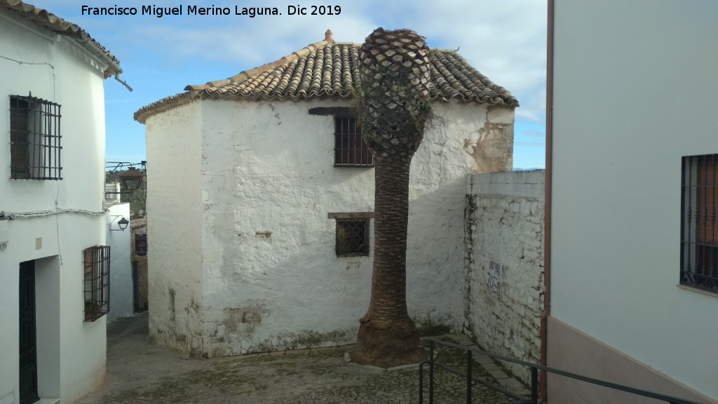 Casa hebrea de la Calle Gradeta de Santo Tom�s n� 2 - Casa hebrea de la Calle Gradeta de Santo Tom�s n� 2. Con la palmera podada