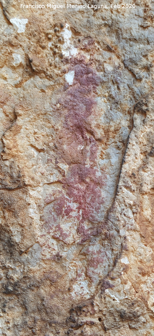 Pinturas rupestres Abrigo Este de las Pe�as de Castro III - Pinturas rupestres Abrigo Este de las Pe�as de Castro III. Barra