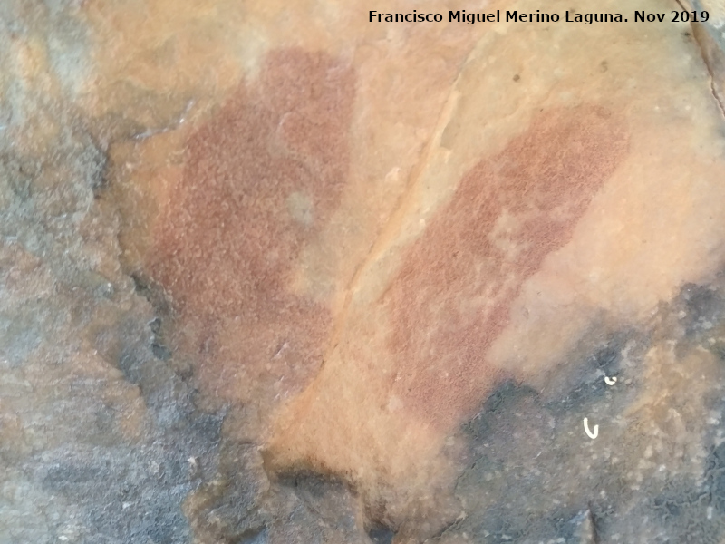 Pinturas rupestres del Cimbarrillo de Mar�a Antonia II - Pinturas rupestres del Cimbarrillo de Mar�a Antonia II. Barras emparejadas