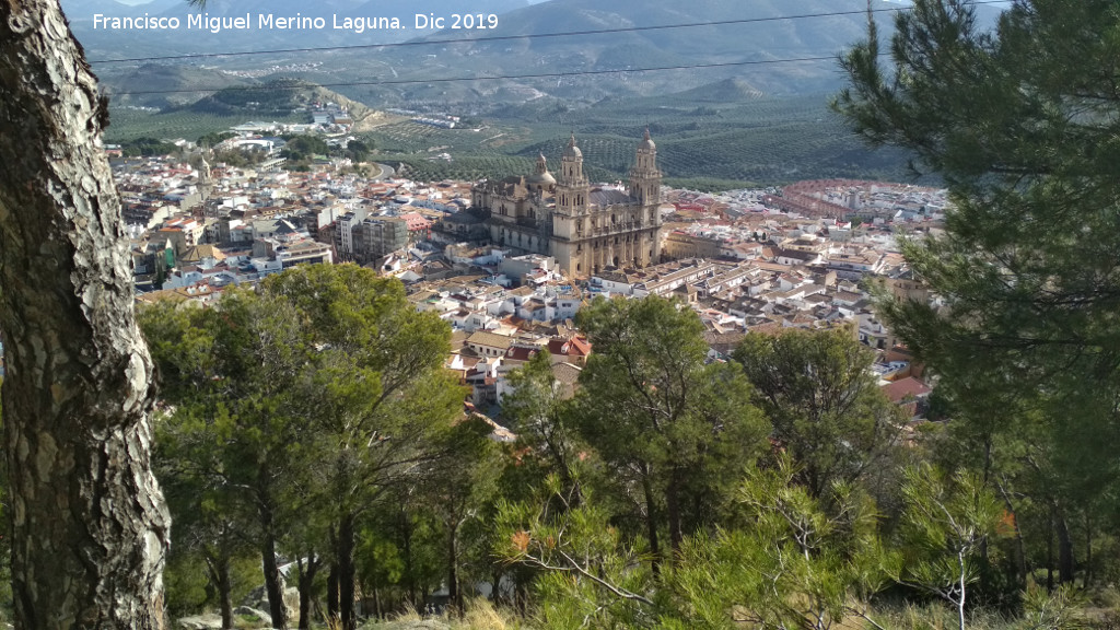Catedral de Jan - Catedral de Jan. Desde el Cerro de Santa Catalina