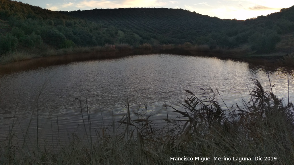 Charca de El Tostadero - Charca de El Tostadero. Atardeciendo