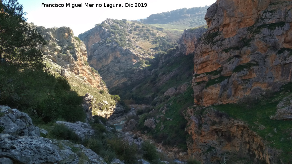 Los Ca�ones - Los Ca�ones. 