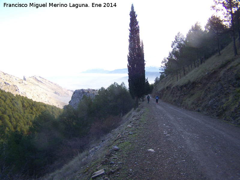 Camino del Pico Jabalcuz - Camino del Pico Jabalcuz. 
