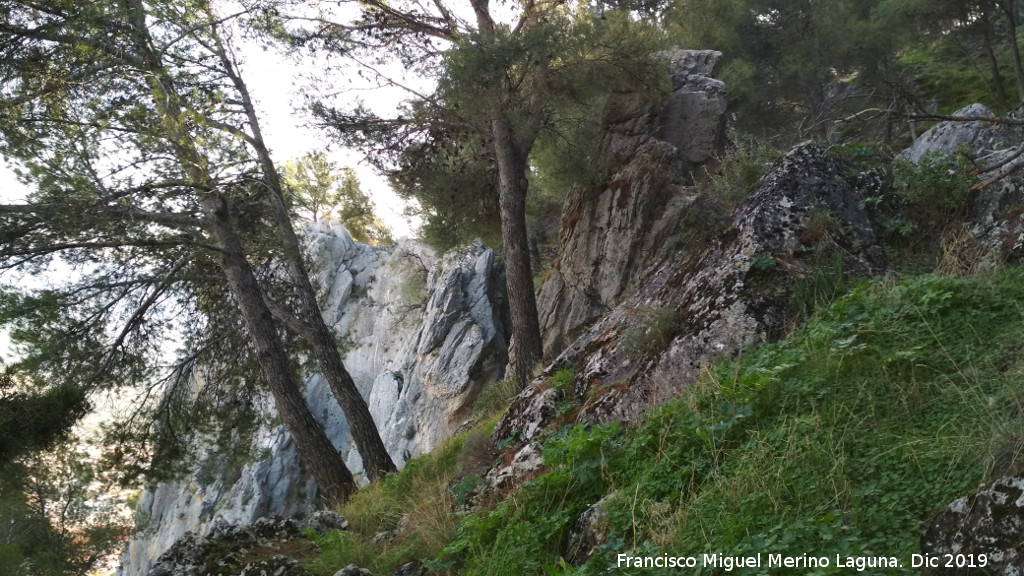Cerro de Santa Catalina - Cerro de Santa Catalina. Paredes rocosas del la ladera norte