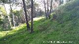 Parque Periurbano de Santa Catalina, Neveral, Imora. Ladera norte del Cerro de Santa Catalina
