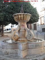 Fuente de San Bartolom�. 