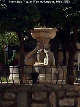 Fuente de San Bartolom�. 