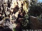 Pinturas rupestres del Abrigo Peque�o de la Cueva del Santo. Abrigo