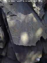 Pinturas rupestres del Abrigo Peque�o de la Cueva del Santo. Panel