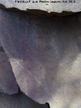 Pinturas rupestres del Abrigo Peque�o de la Cueva del Santo. Ramiforme inferior