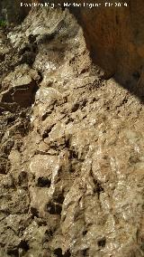 Gastado del la roca Pinturas rupestres del Abrigo del Almendro. Gastado del la roca