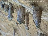Pinturas rupestres del Abrigo de los Caones IV. Estalactitas