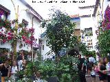Casa de la Calle Chaparro n 3. Patio