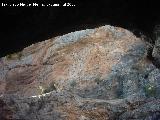 Cueva de los Ca�ones. 