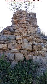 Cerro Alcal�. Muralla
