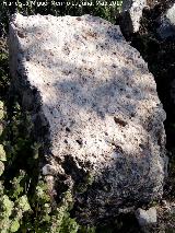 Cerro Alcal�. Sillar