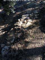 Cerro Alcal�. Muro