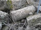 Cstulo. Columna