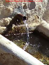 Pilar de los Prados. Ca�o