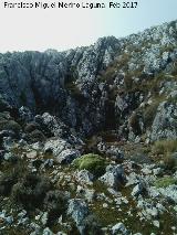 Sima del Aznaitn de Albanchez. 