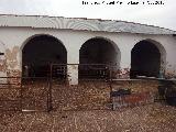 Cortijo San Juan. Arcos