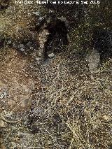 Necr�polis de C�llar. Tumba