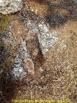 Necr�polis de C�llar. Tumba