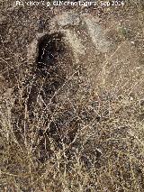 Necr�polis de C�llar. Tumba con rebaje para losa de cubrici�n