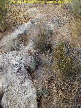 Necr�polis de C�llar. Tumbas