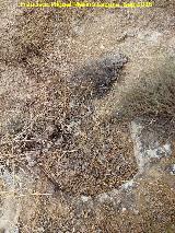 Necr�polis de C�llar. Tumba