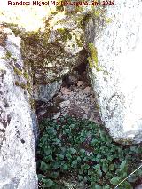 Poblado isl�mico de la Coronilla. Entrada cegada a una cueva
