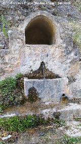 Fuente Bonales. 