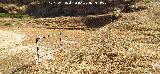 Campo de F�tbol del Centenillo. 
