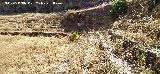 Campo de F�tbol del Centenillo. Gradas talladas en la roca madre