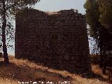 Castillo de Arenas. Recinto Inferior. Torre�n con habit�culo