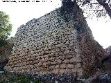 Castillo de Abrehuy. Torre�n Sur II. 