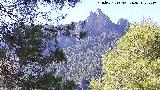 Castell�n de los Toros. Desde la Huelga de los Olivos