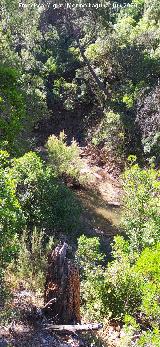 R�o Aguasmulas. 