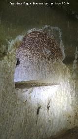 Ermita de San Torcuato. Lacena