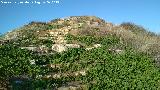 Castell�n de Caviedes. 