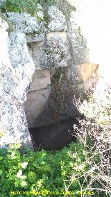 Castell�n de Caviedes. Abrigo