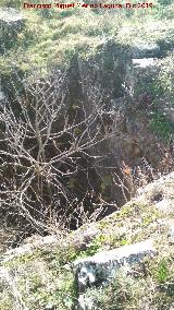 Castell�n de Caviedes. Hueco con �rbol