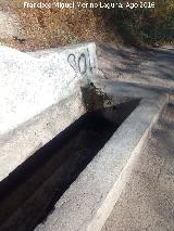 Fuente Torrej�n. Ca�o