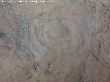 Pinturas y petroglifos rupestres de la Cueva del Encajero. Petroglifo de crculos concentricos